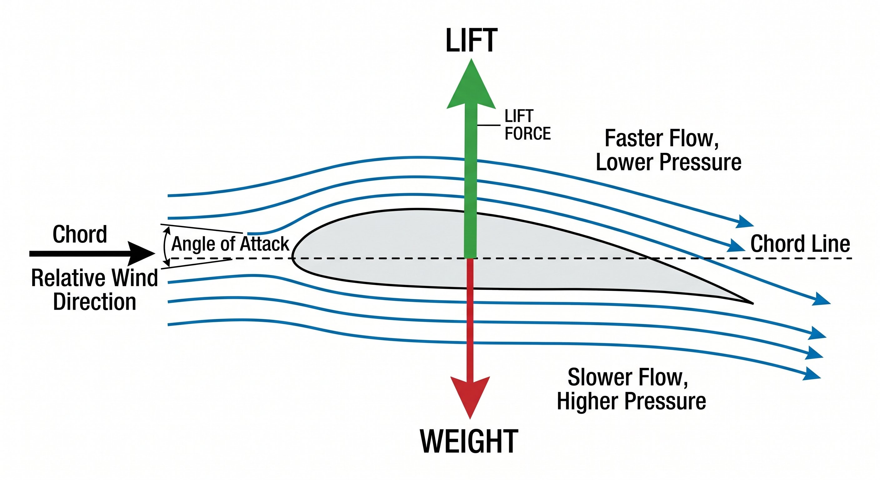 Wing airfoil cross-section showing Bernoulli lift generation with faster flow on top causing lower pressure and lift force